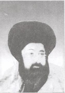 السيد محمد الطباطبائي المجاهد